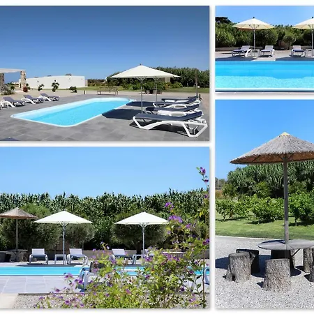 B&B Maliva