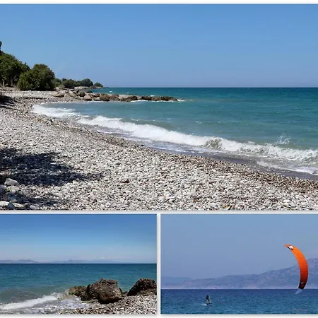 B&B Maliva