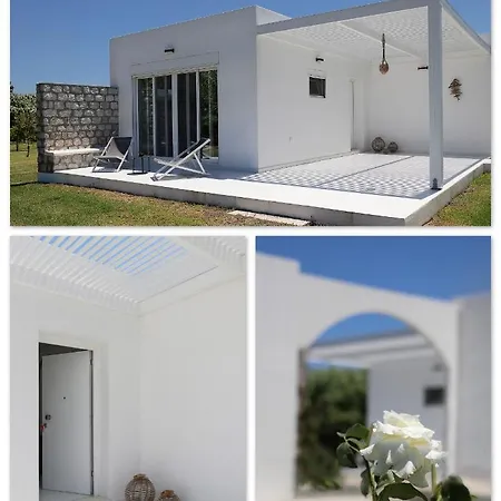 B&B Maliva *
